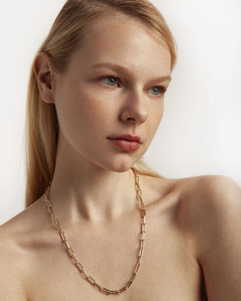 Long Bold Clip Chain
