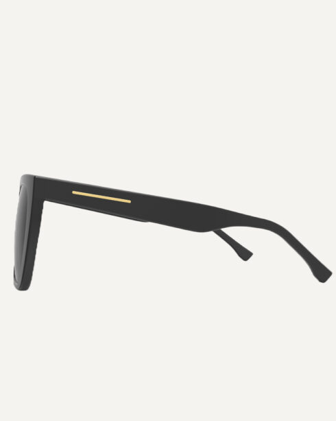 Caracal Sunglasses In Black